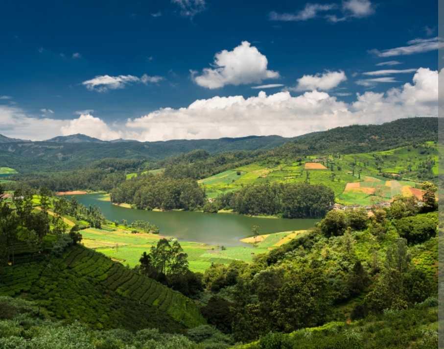 The Nilgiris
